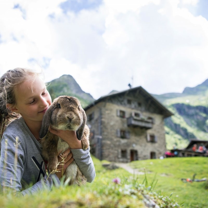 Familienerlebnisse in Dorf Tirol